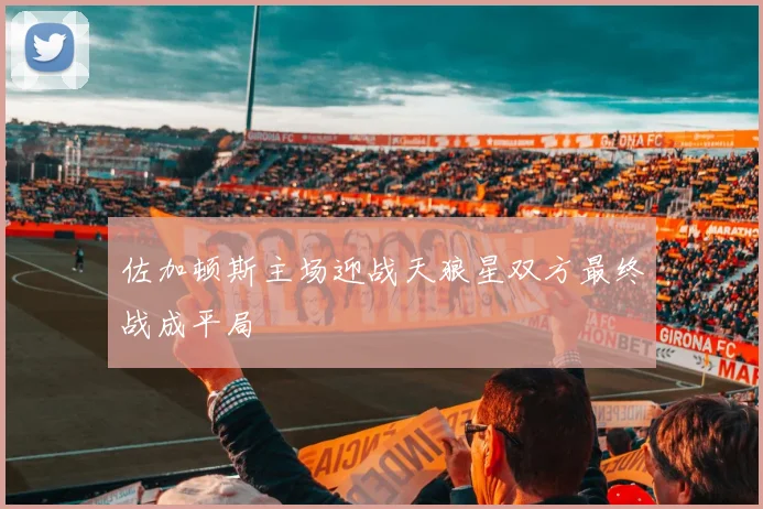 佐加顿斯主场迎战天狼星双方最终战成平局