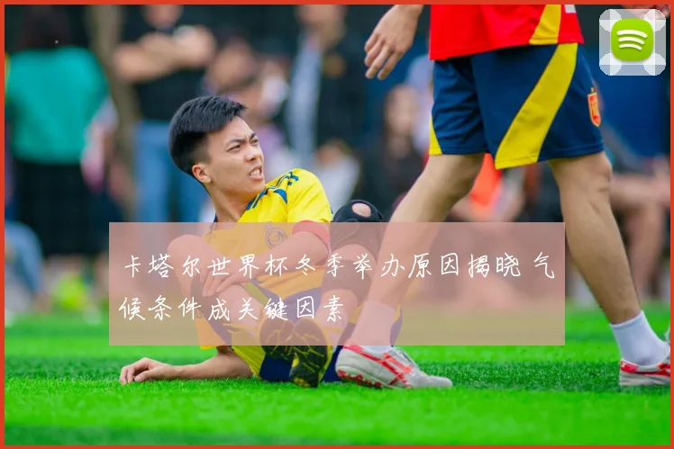 卡塔尔世界杯冬季举办原因揭晓 气候条件成关键因素