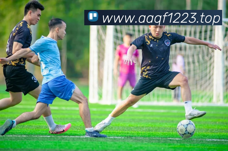 尊龙人生就是 首页服务体系